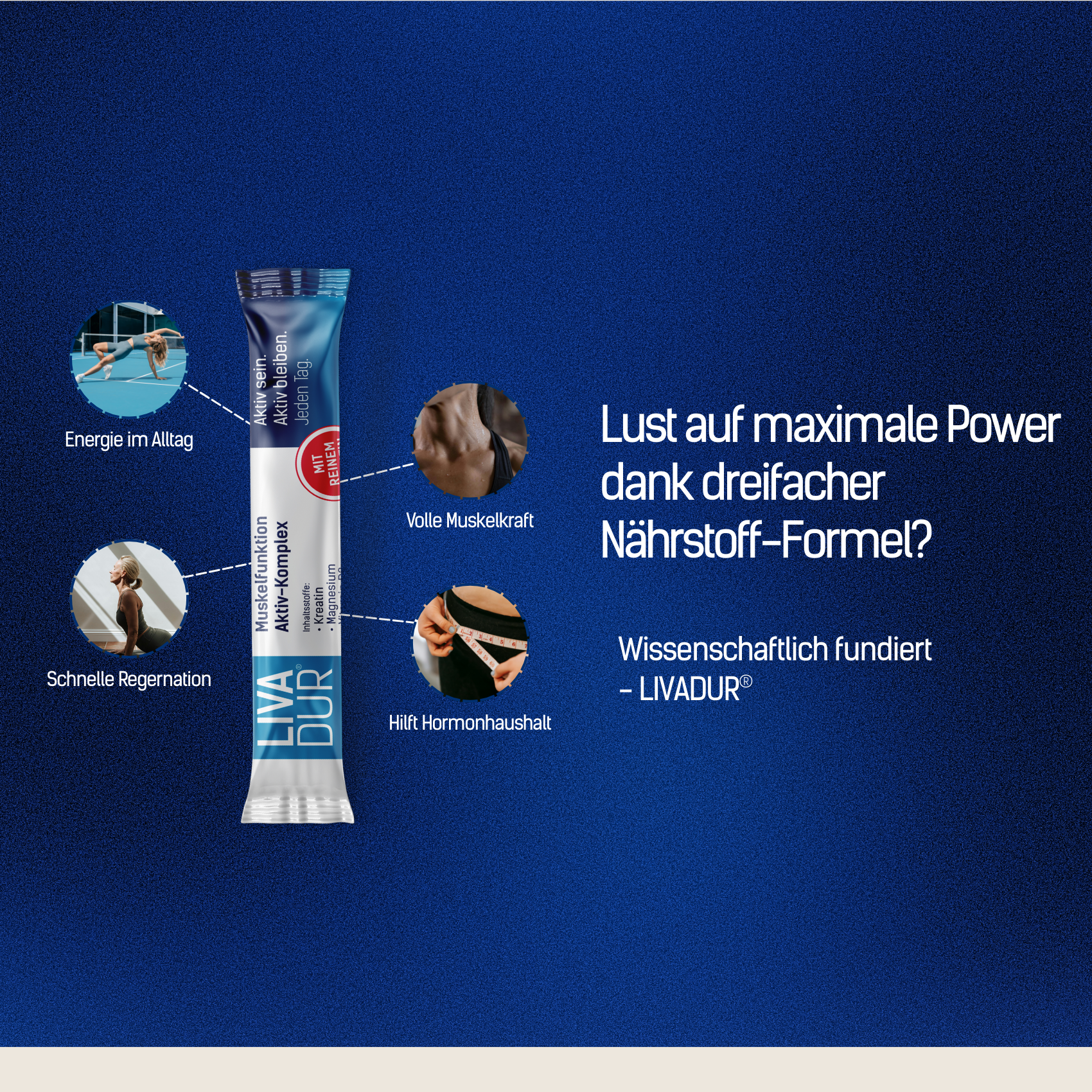 Produktanwendungsbereiche: Energie im Alltag, Volle Muskelkraft, Schnelle Regeneration, Hilft Hormonhaushalt