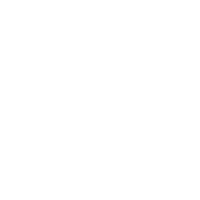 100% Vegan