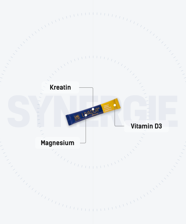 Die Nährstoff Synergie